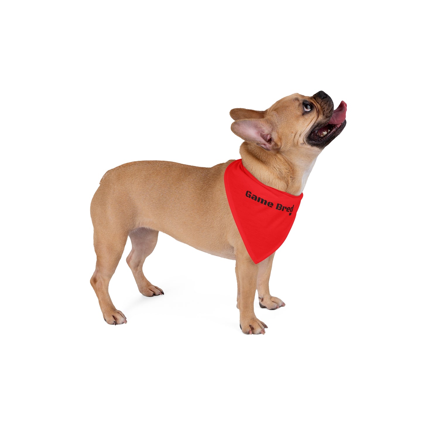 Game Bred Pet Bandana